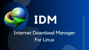 Internet Download Manager 6.41 Build 7 Patch & Serial Key Unduh